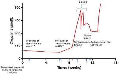 Immune checkpoint inhibitor therapy associated with IgA nephropathy: a case report and literature review